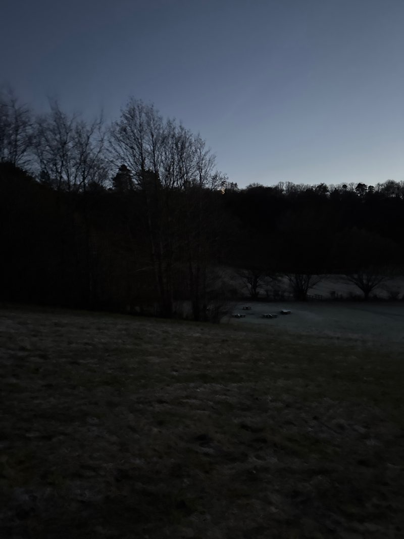 walking near me in Fernbrae Meadows in autumn