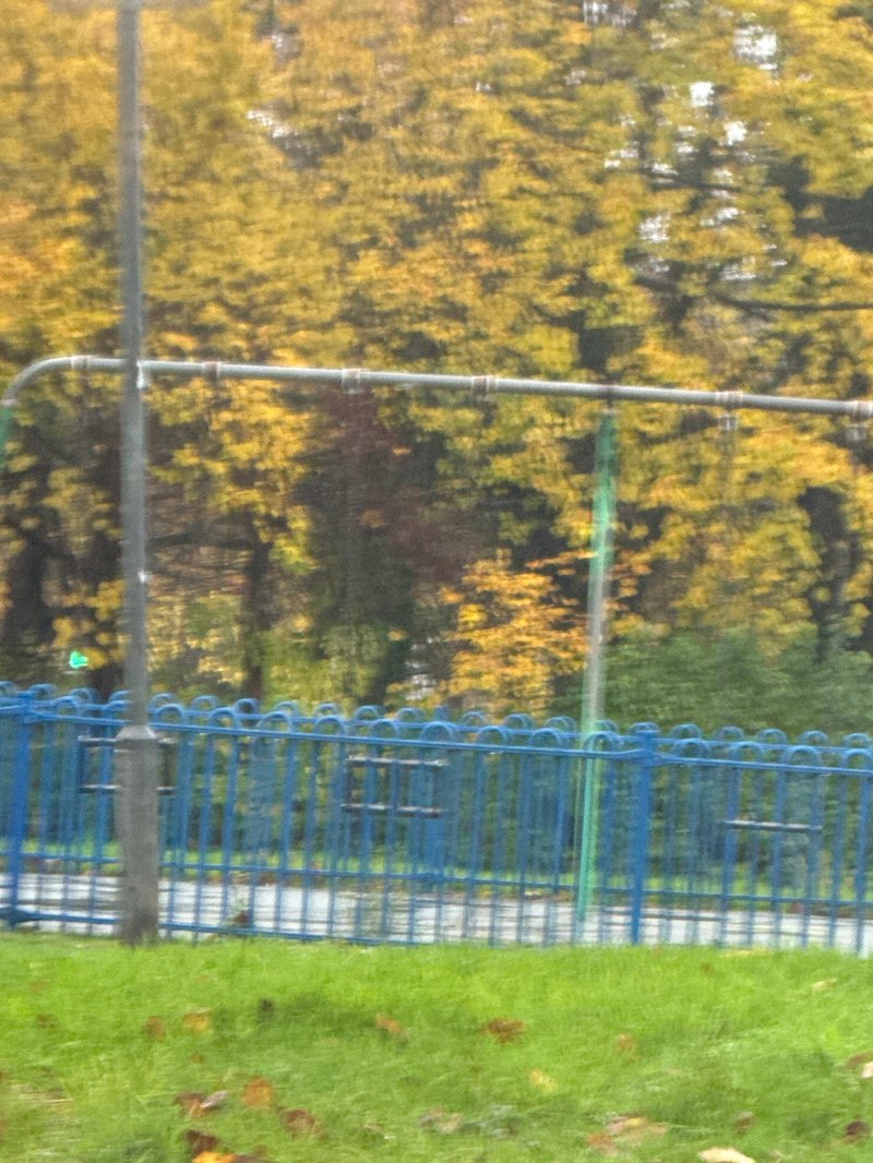 walking near me in Tennents Park in autumn