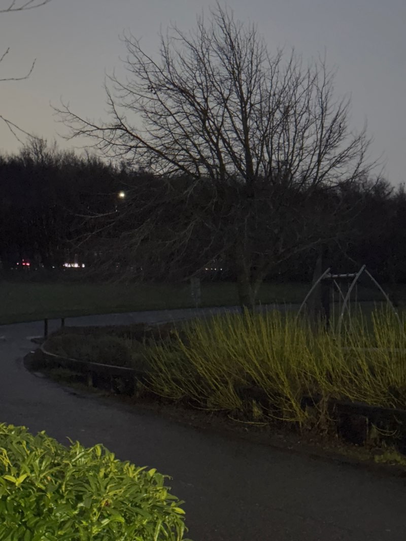 walking near me in James Hamilton Heritage Park in autumn