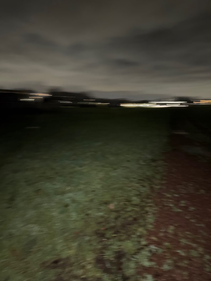 walking near me in East Kilbride Show Park (Westbog Park) in winter