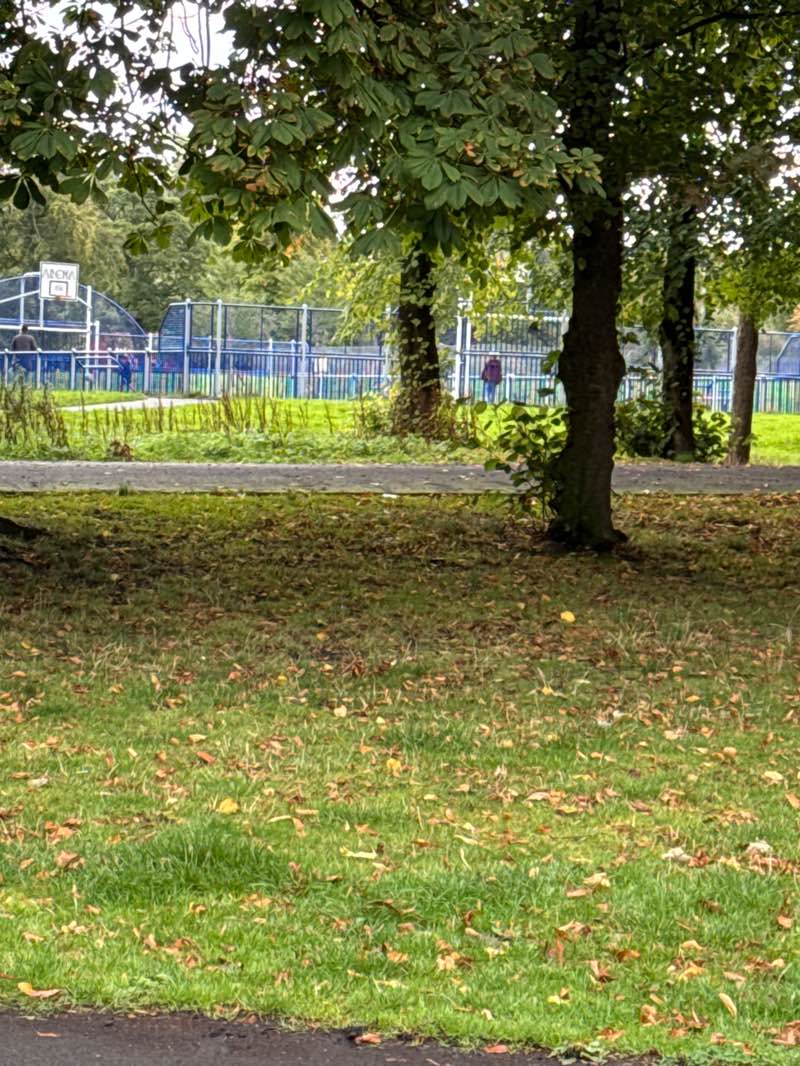 walking near me in Queen's Park in autumn