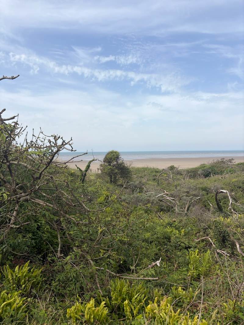 walking near me in Pembrey Country Park in summer