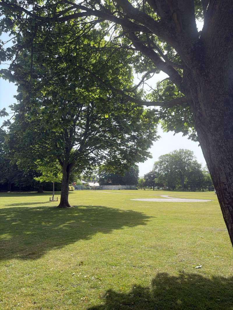 walking near me in Town Park in summer