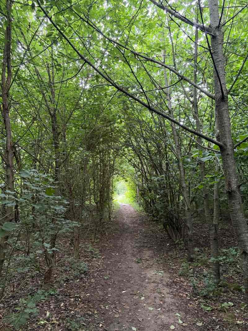 walking near me in Poppy Park in summer
