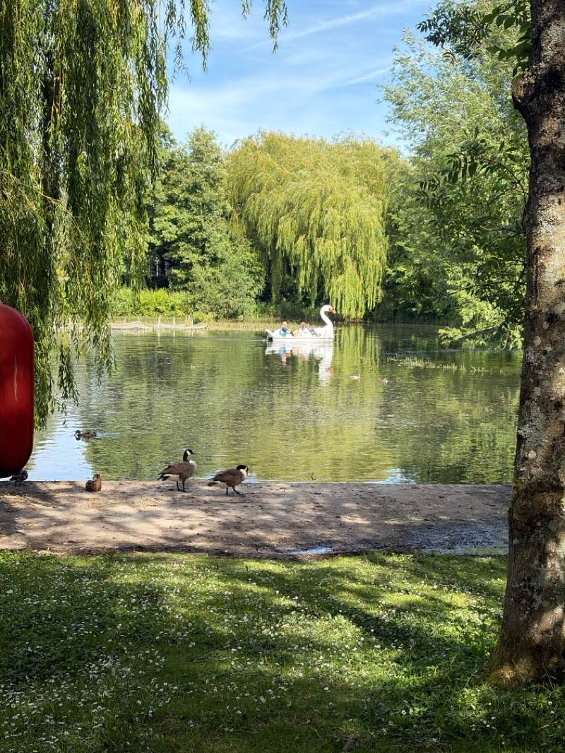 walking near me in Watermills Park in summer