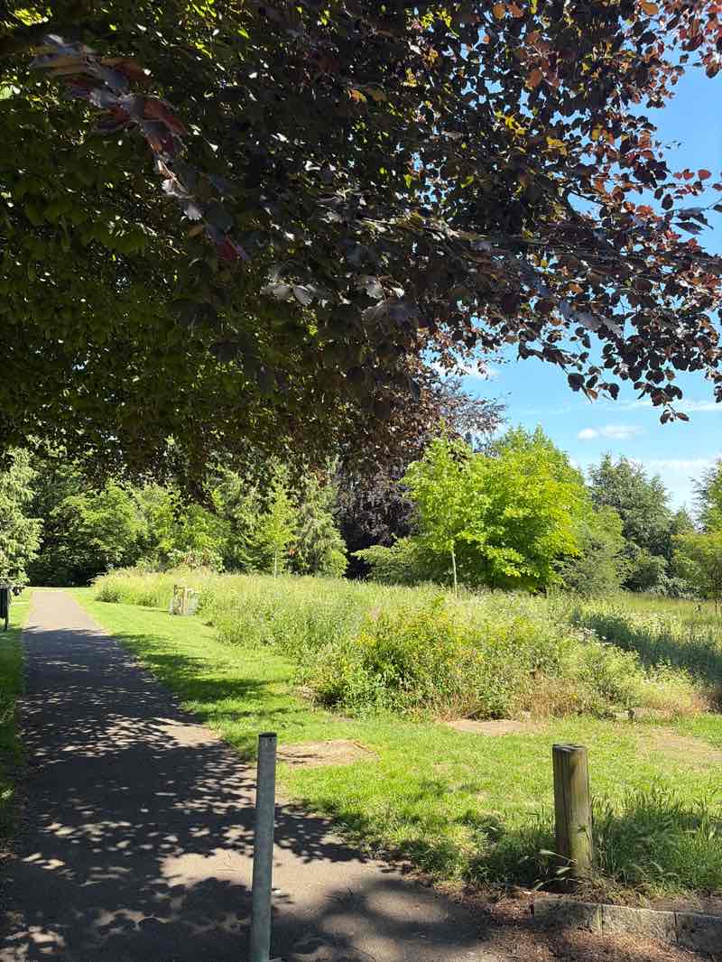 walking near me in Beech Hurst Park in summer
