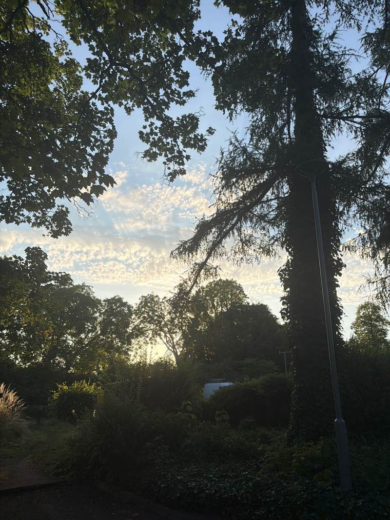 walking near me in Beech Hurst Park in summer