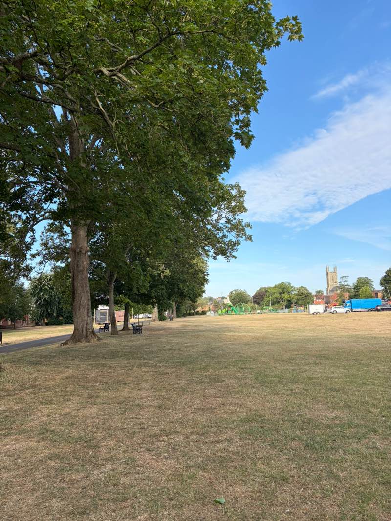walking near me in Town Park in summer