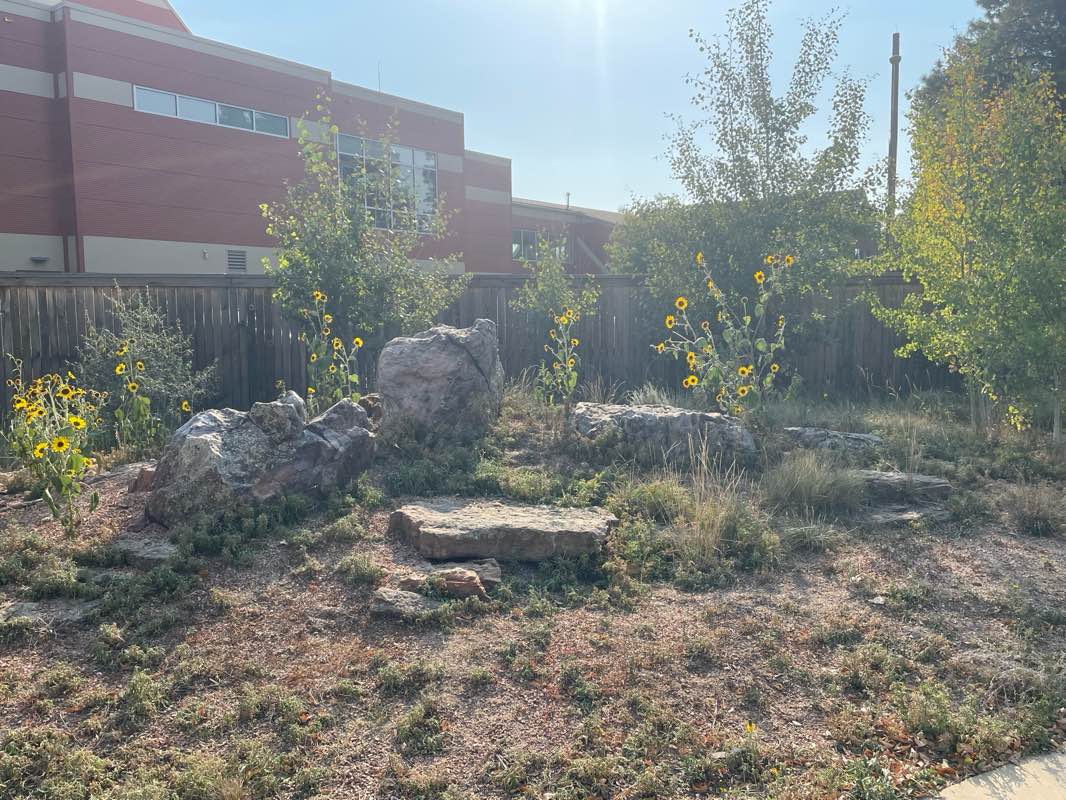 walking near me in Lions Park in winter