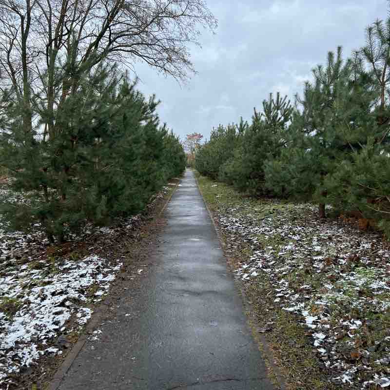 enigmasouth83 post 2