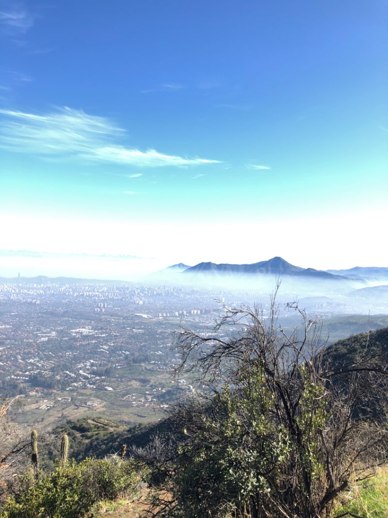 walking near me in Parque Mahuida in summer