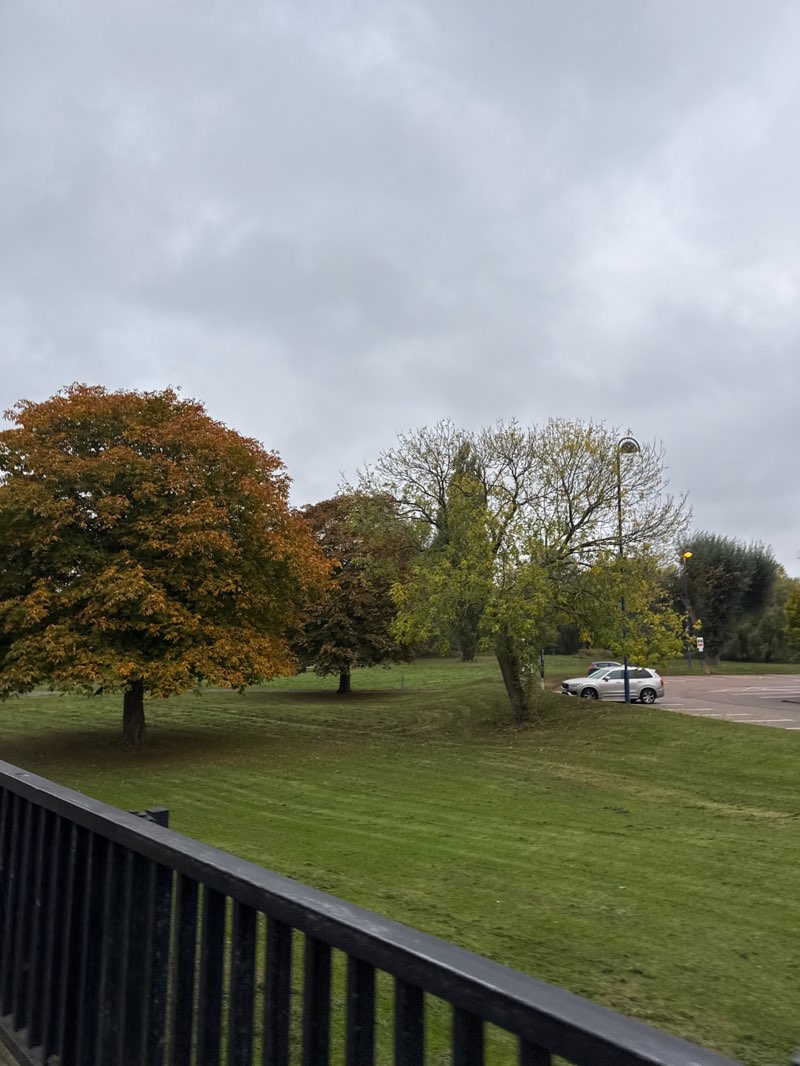 walking near me in Riverside Park in autumn