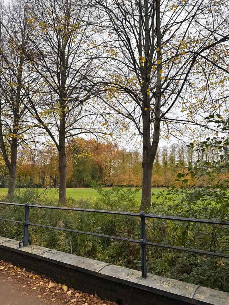 walking near me in The Backs in autumn