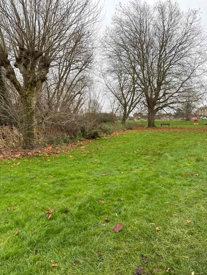 walking near me in Riverside Park in winter