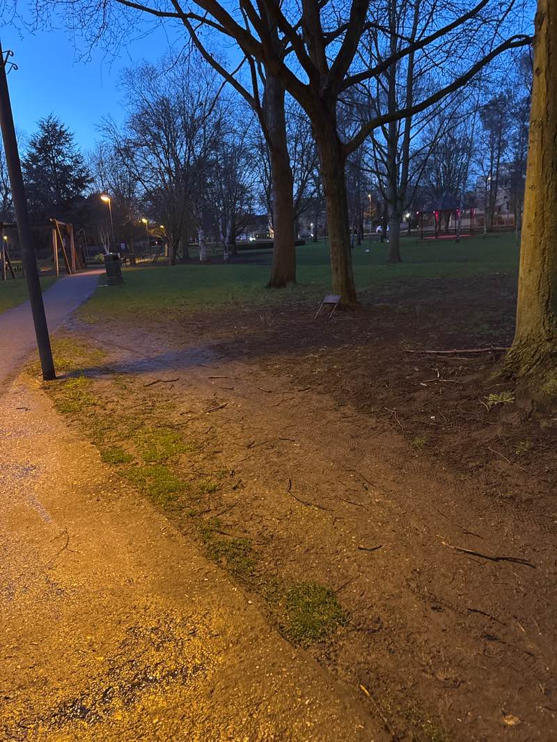 walking near me in Bloomfield Park in winter