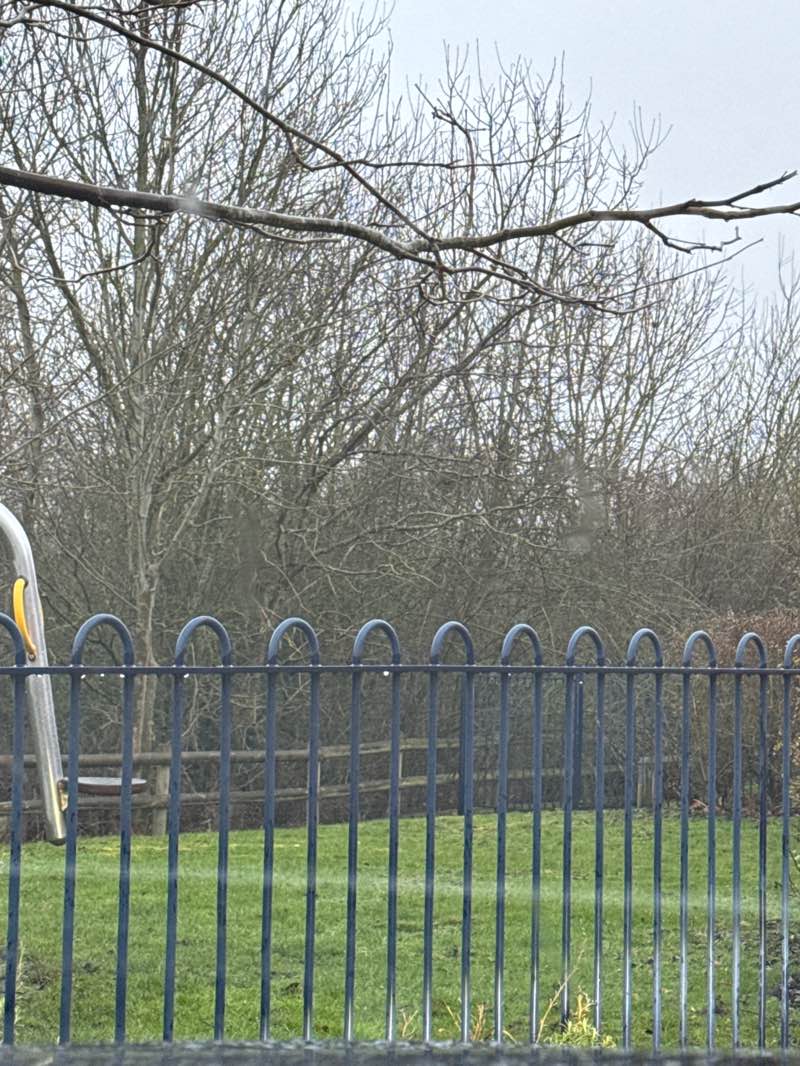 walking near me in Barford Road Pocket Park in winter