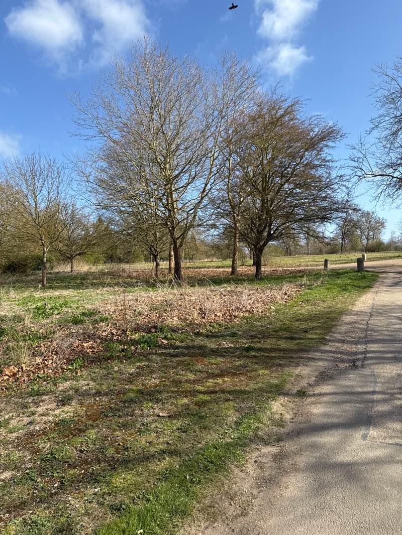 walking near me in Wimpole Estate in spring