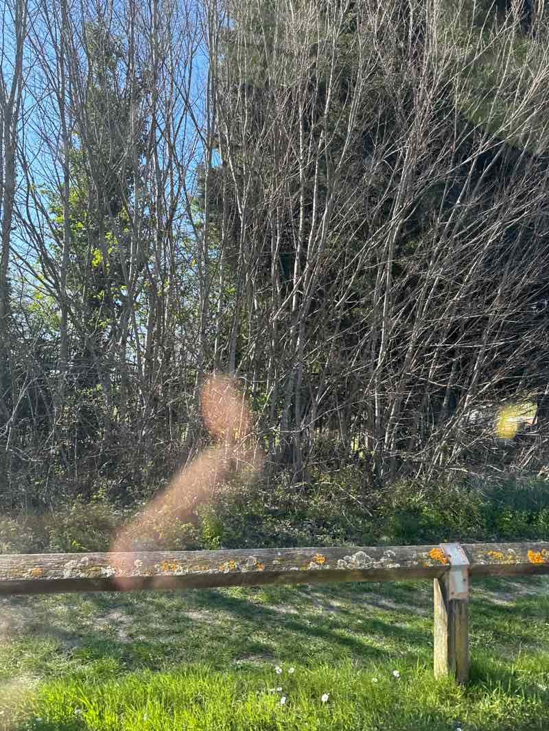 walking near me in Spring Common in spring