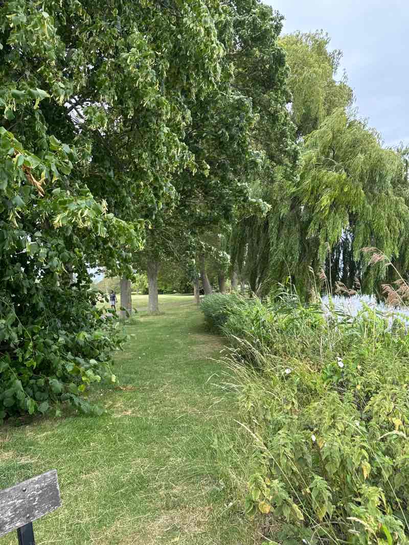 walking near me in Riverside Park in summer
