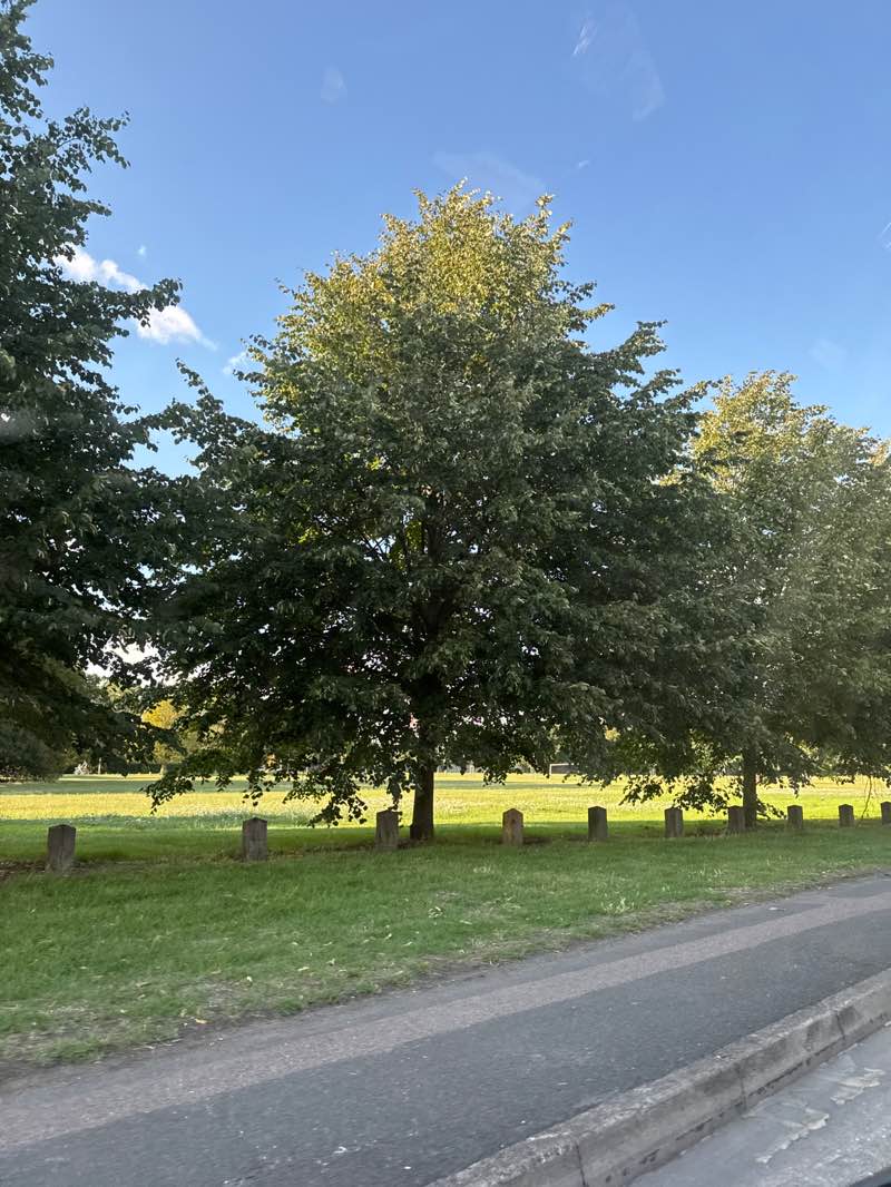 walking near me in Goldington Green Park in autumn