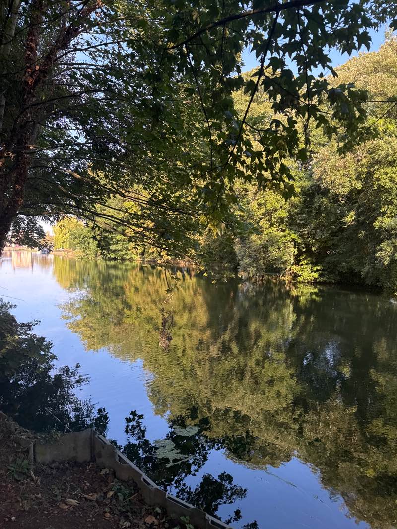 walking near me in Godmanchester Recreation Ground in summer