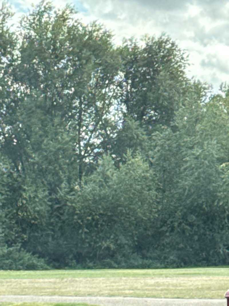 walking near me in Riverside Park in autumn