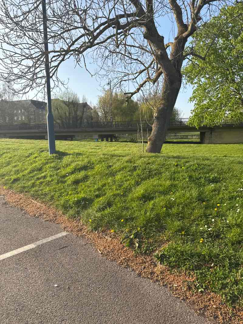 walking near me in Riverside Park in spring