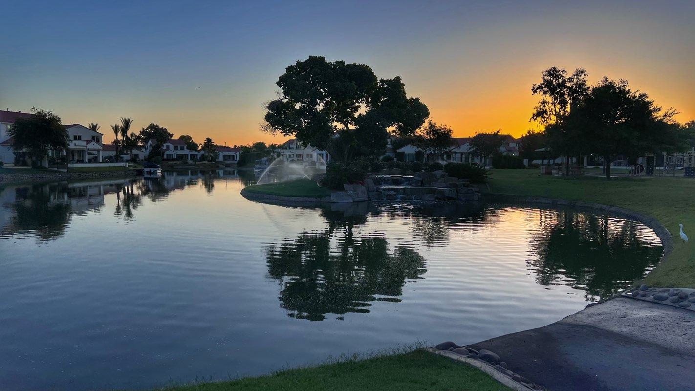 walking near me in Heron Park in winter