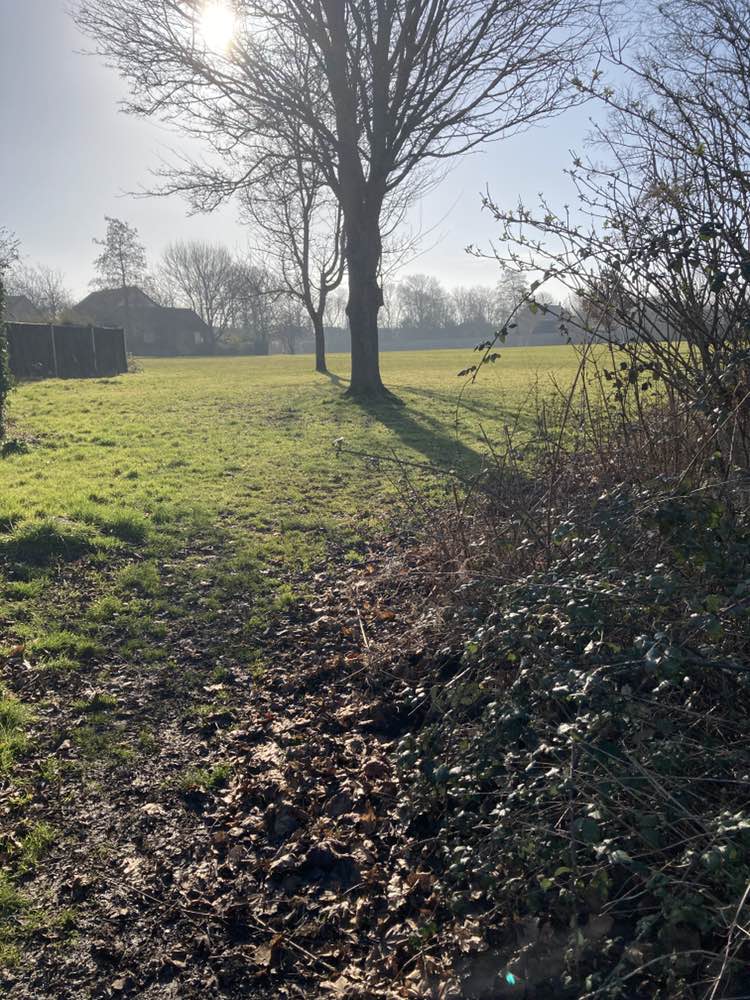 walking near me in Woodlands Open Space in spring