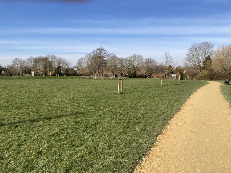 walking near me in St Richards Open Space in spring