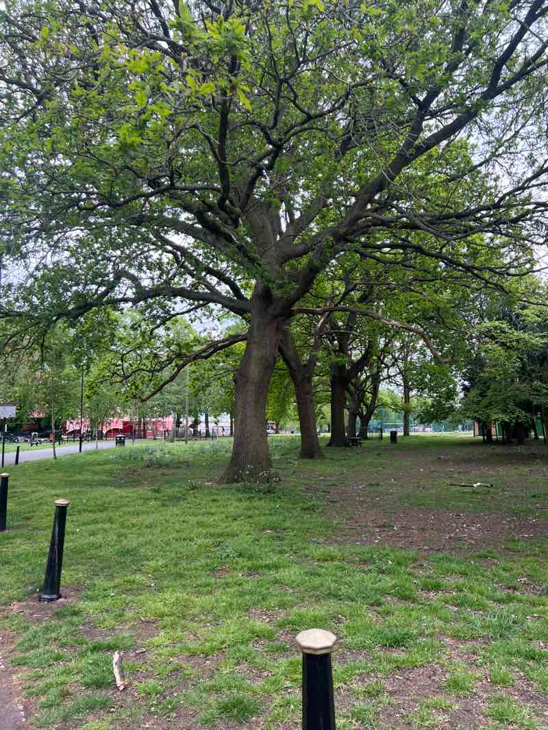 walking near me in Victoria Park in spring