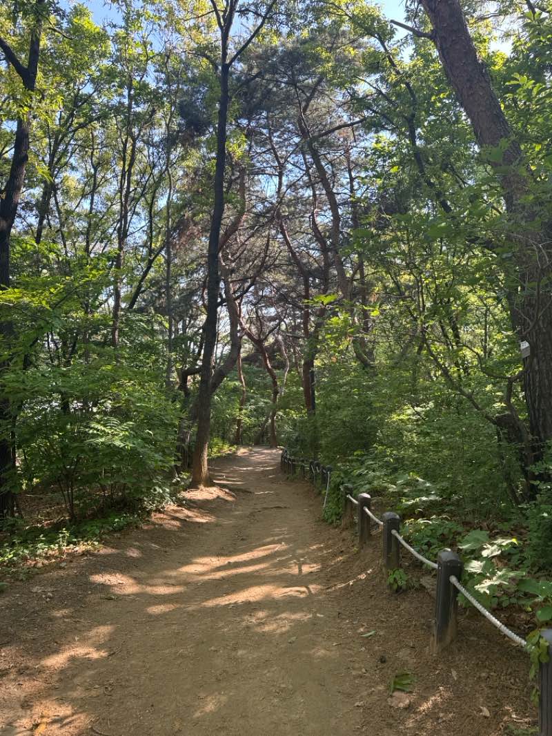 walking near me in 도곡근린공원 in spring