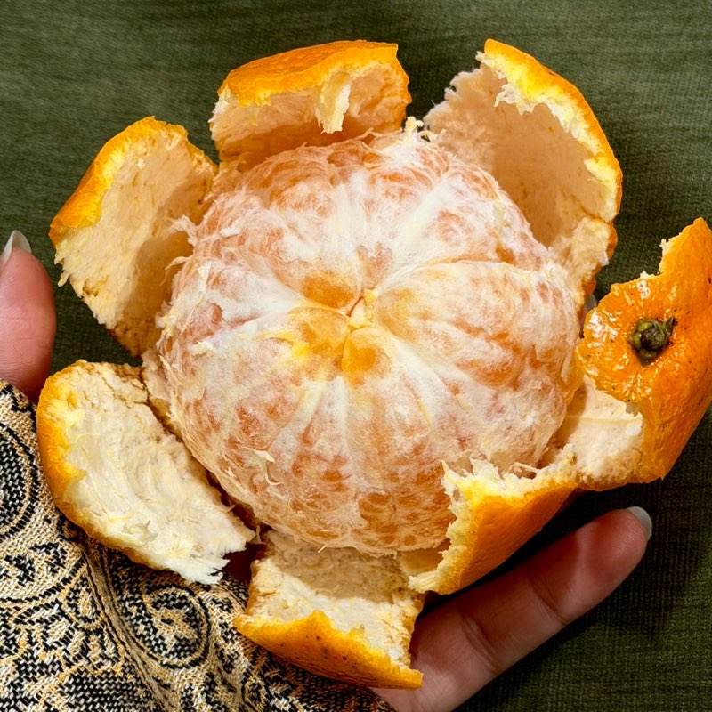 Ekhlas AlNaabi profile