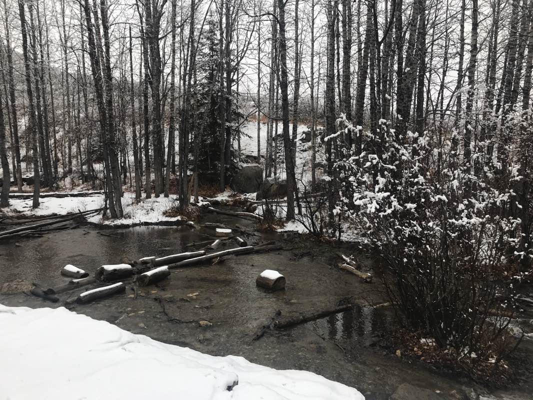 walking near me in Big Hill Springs Provincial Park in winter