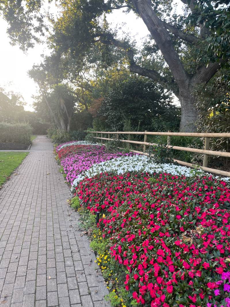 walking near me in La Collette in autumn