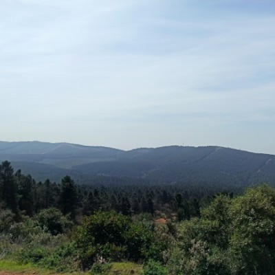 Yuruyorum. eXeLanS post image