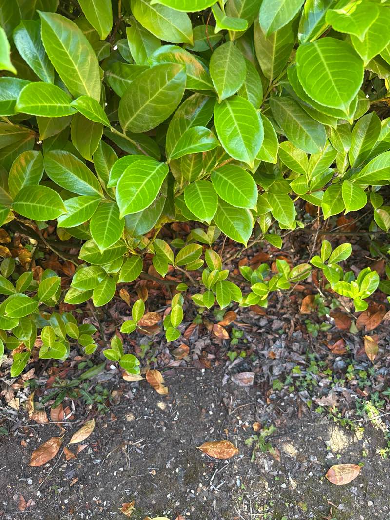 walking near me in Champneys in summer