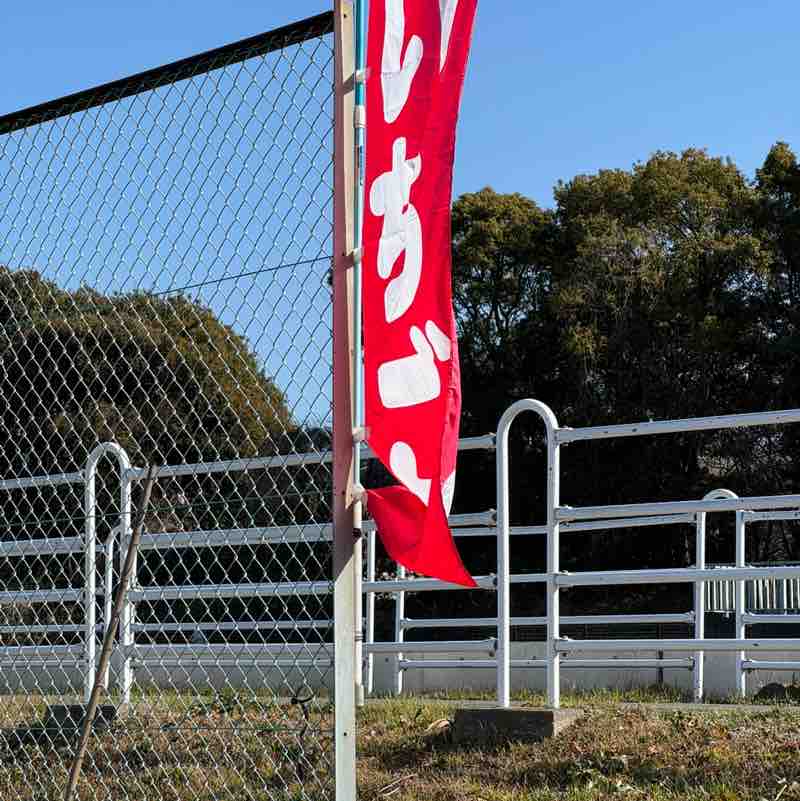 👍♥️ 行雲流水Go with the flow. post image