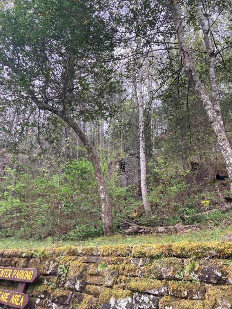 walking near me in Natural Bridge State Resort Park in winter