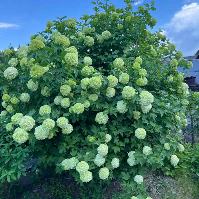 Лариса Екатеринбург post 3