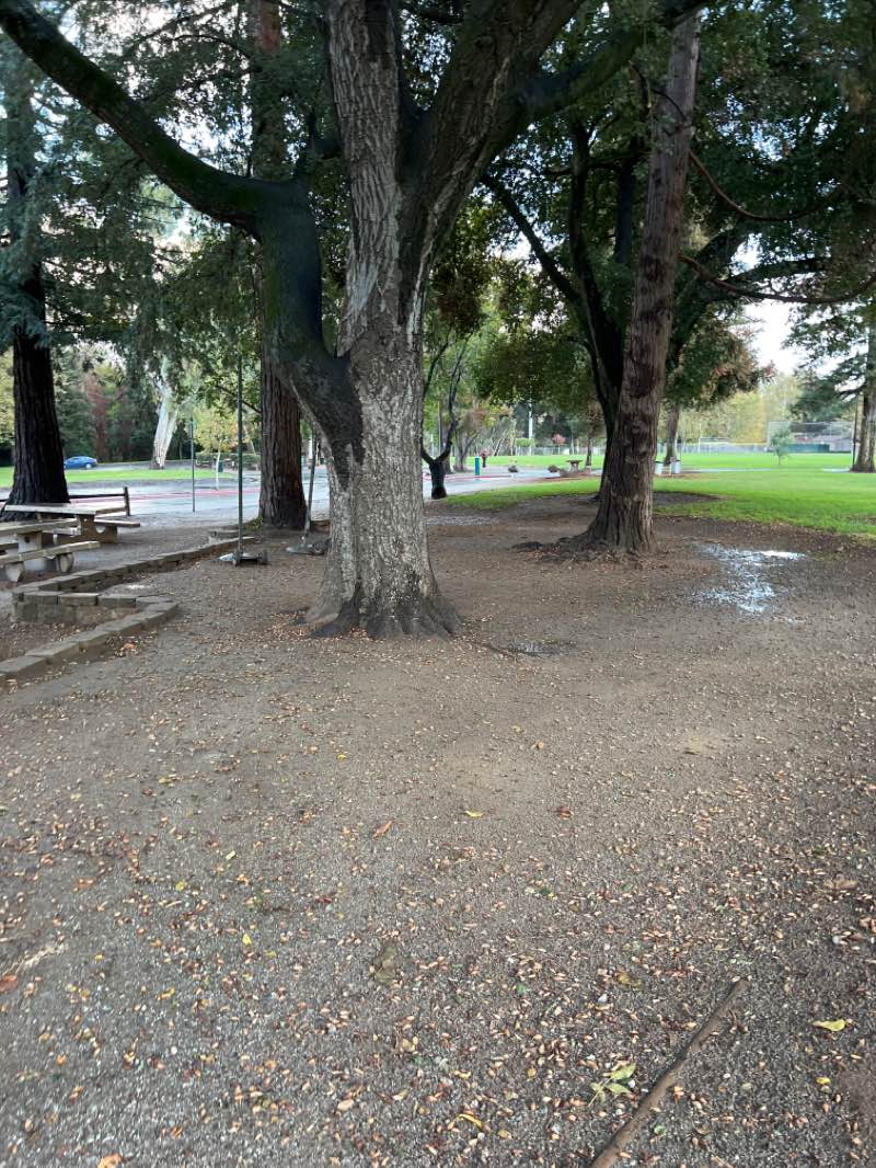 walking near me in Christmas Hill Park in winter