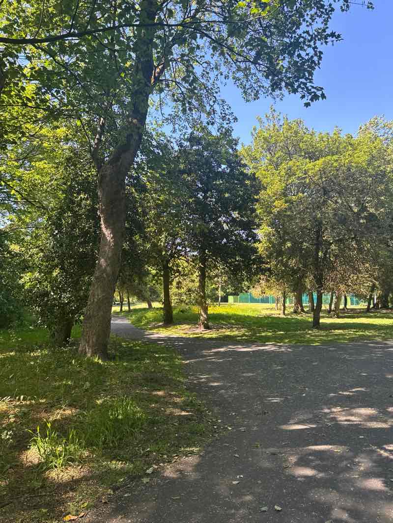 walking near me in Firs Park in spring