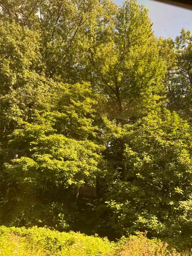 walking near me in Pelham Bay Park in autumn