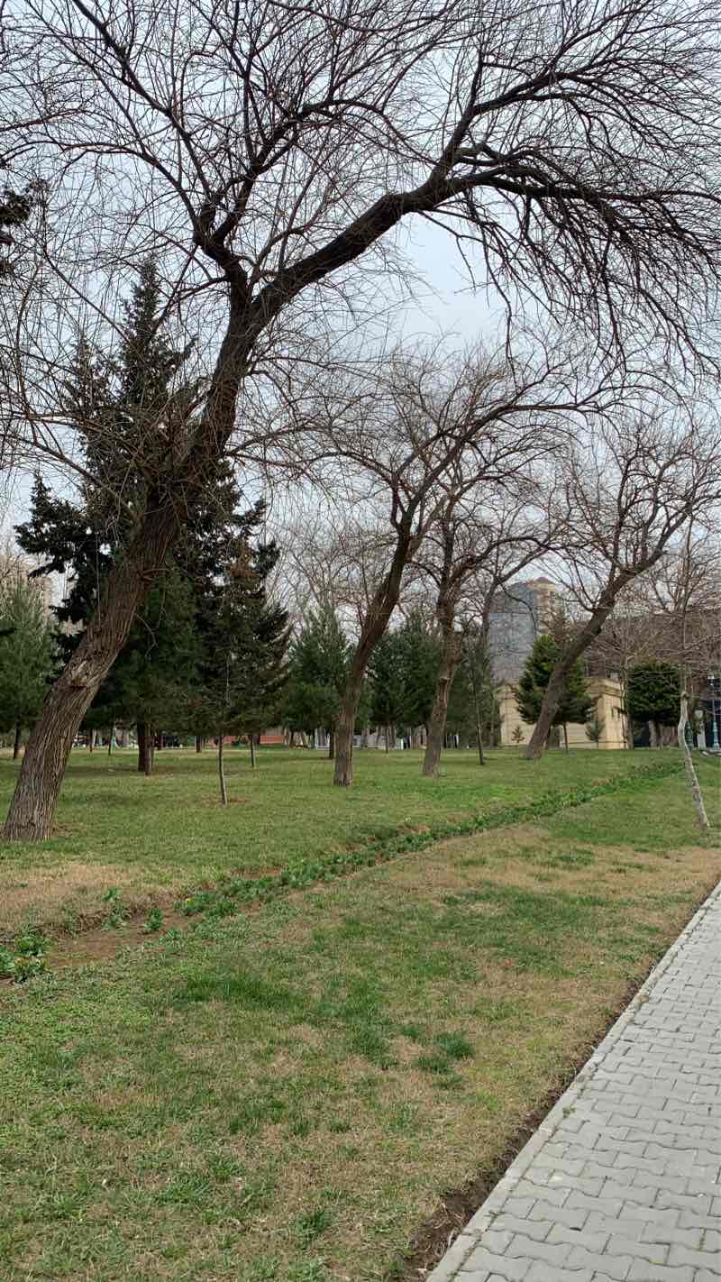 walking near me in Koroğlu Parkı in winter