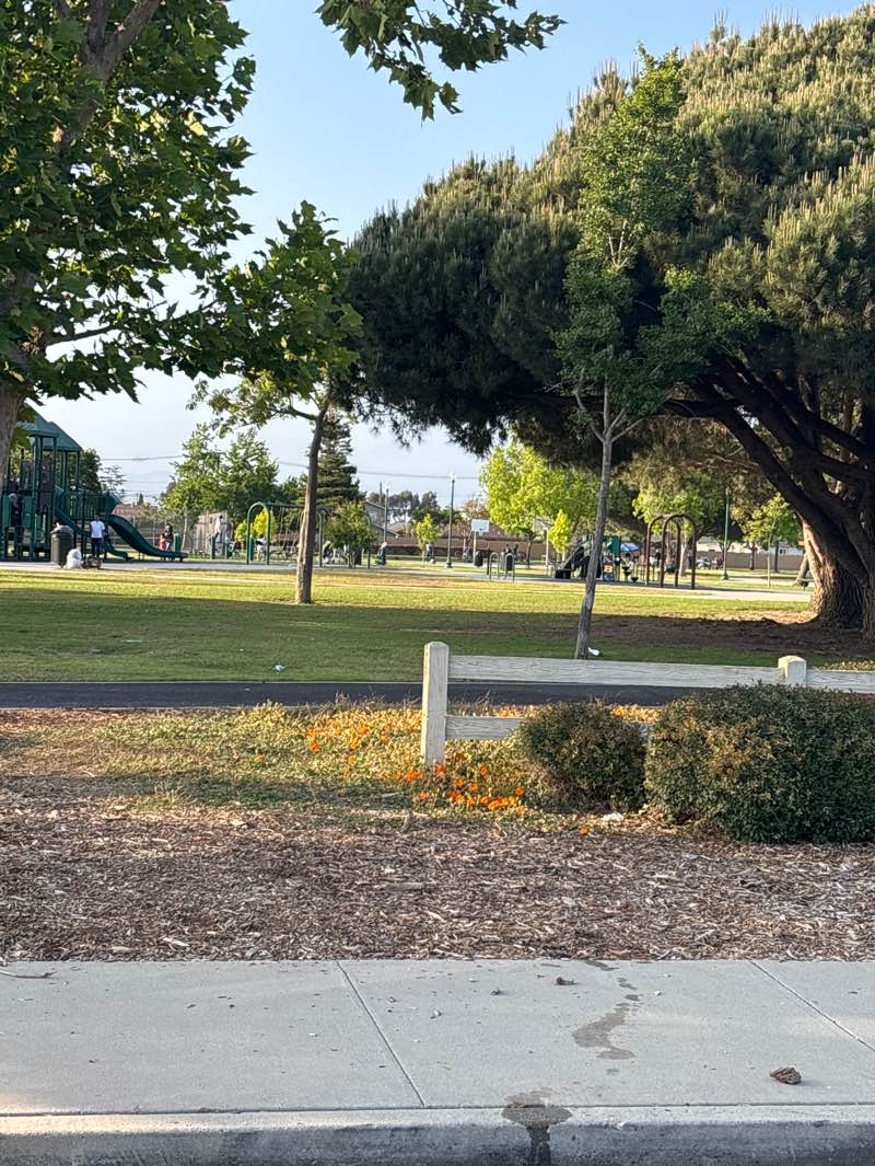 walking near me in Rio Lindo Park in spring