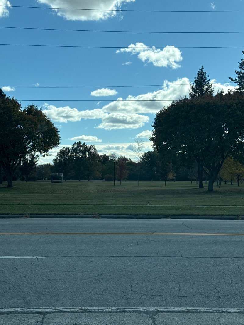 walking near me in Woodlands Park in autumn