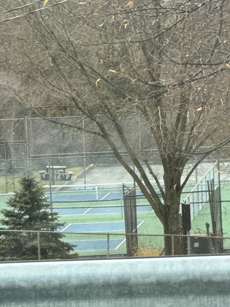 walking near me in Beech Street Park in autumn
