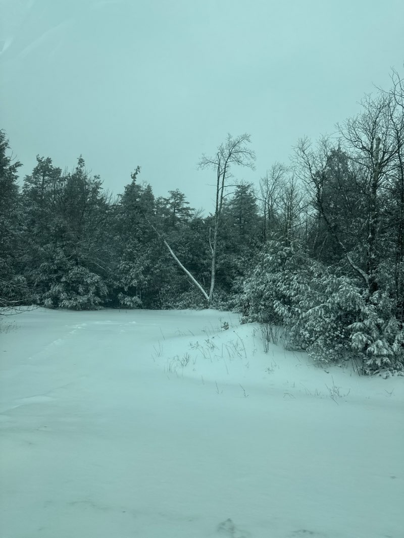 walking near me in Little Canaan Wildlife Management Area in winter