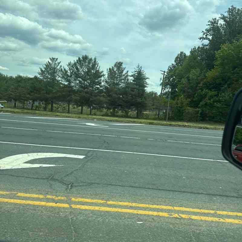 thomaswebb45 post 1