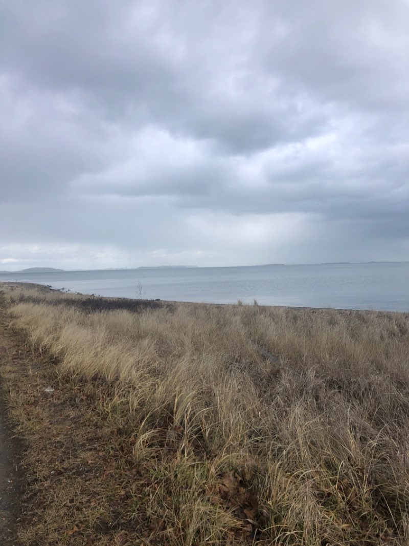 walking near me in Caddy Memorial Park in winter